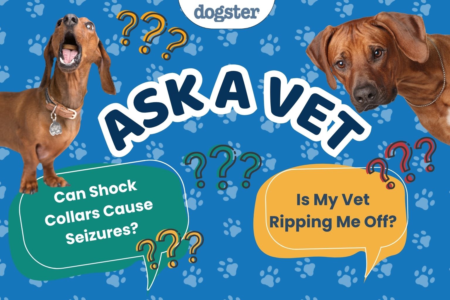 Ask Dr. Paola: Spay Timing and Shock Collars and Seizures