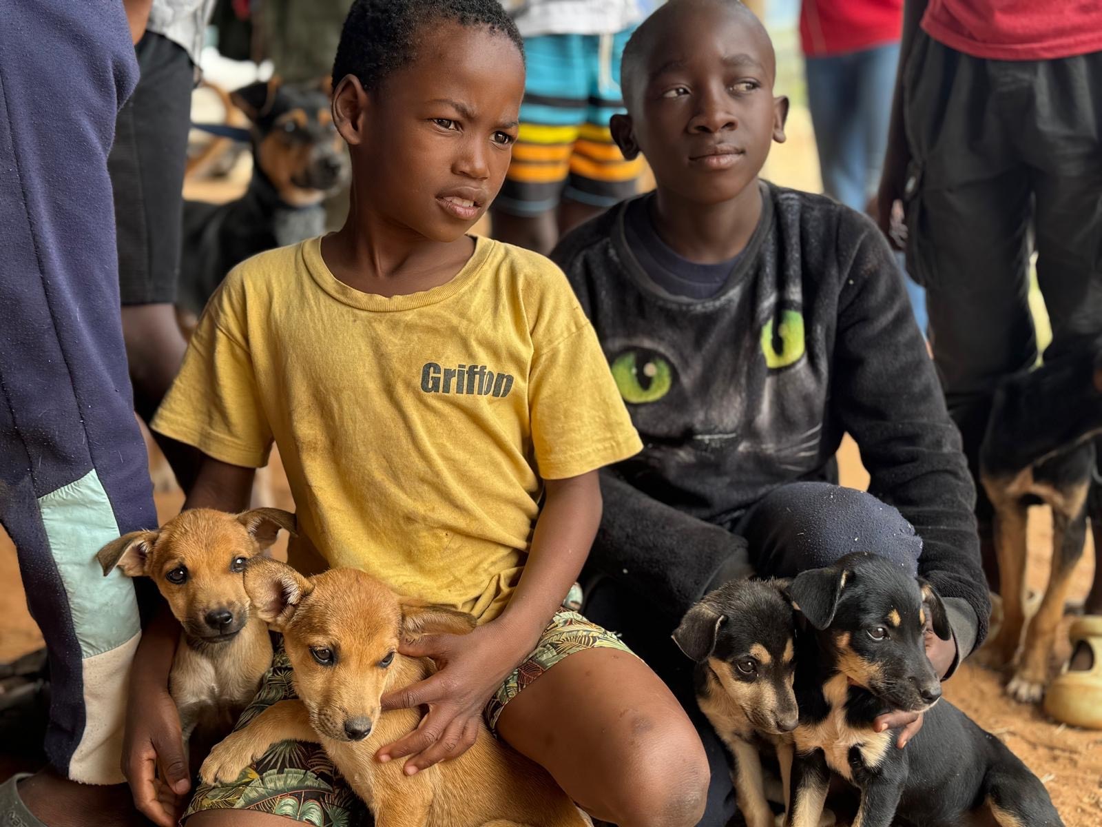 Battersea and GARC Partner to Vaccinate 4,000 Dogs Against Rabies