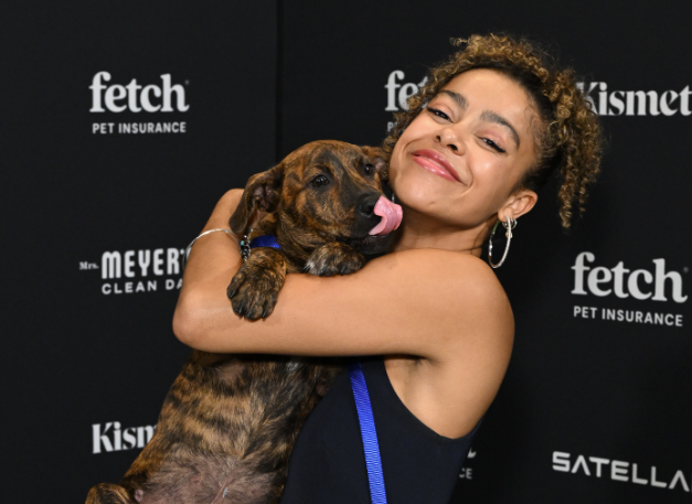 Broadway Stars and Shelter Dogs Take the Stage at Fetch Pet Gala