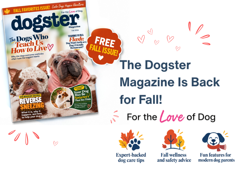 Dogster Digital Magazine: Fall 2026 Issue Now Available Free