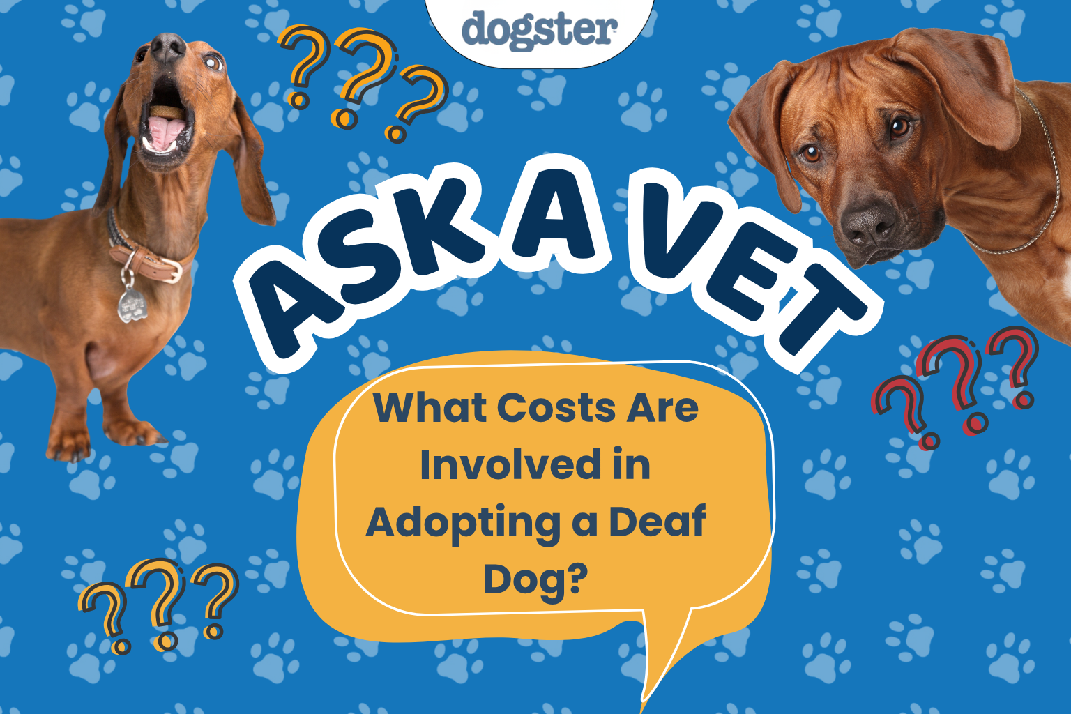 Financial Considerations for Adopting a Deaf Dog