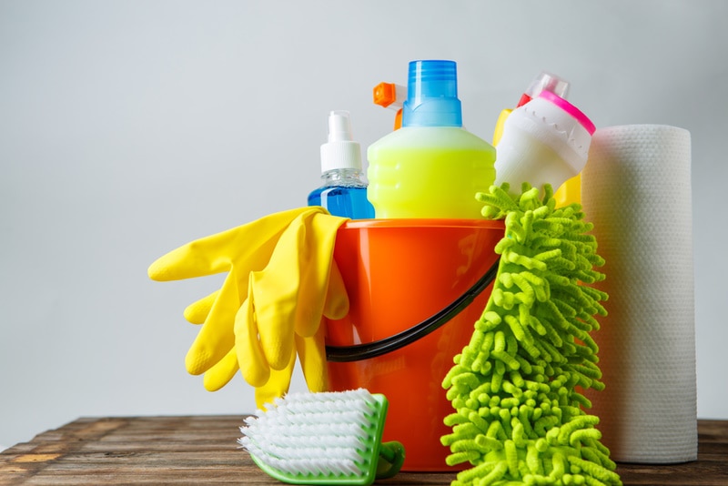 Hidden Household Dangers That Are Toxic to Dogs