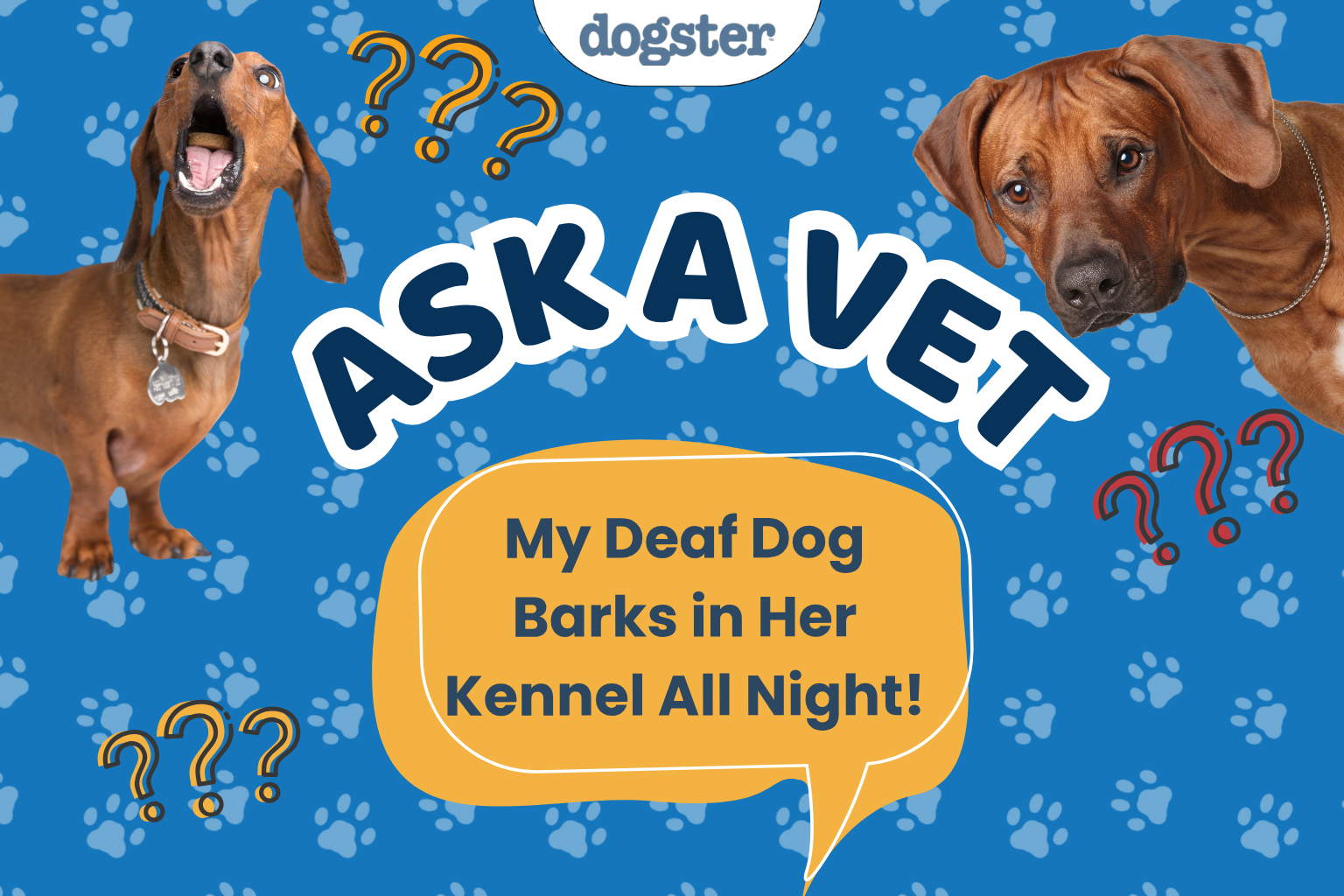 How to Help a Deaf Dog Stop Barking in Her Kennel