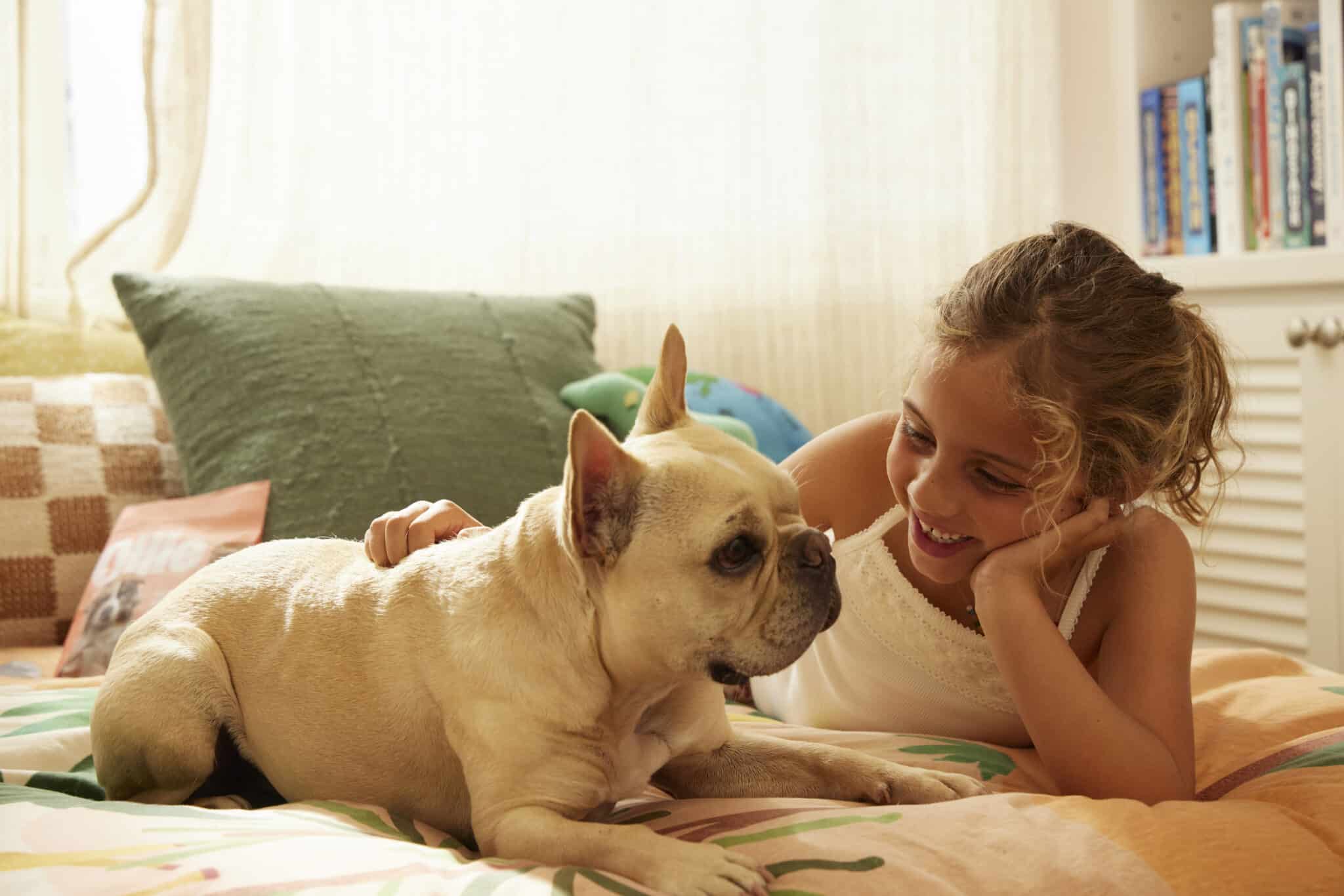 Ollie Fresh Dog Food: Human-Grade, Personalized Meals Reviewed