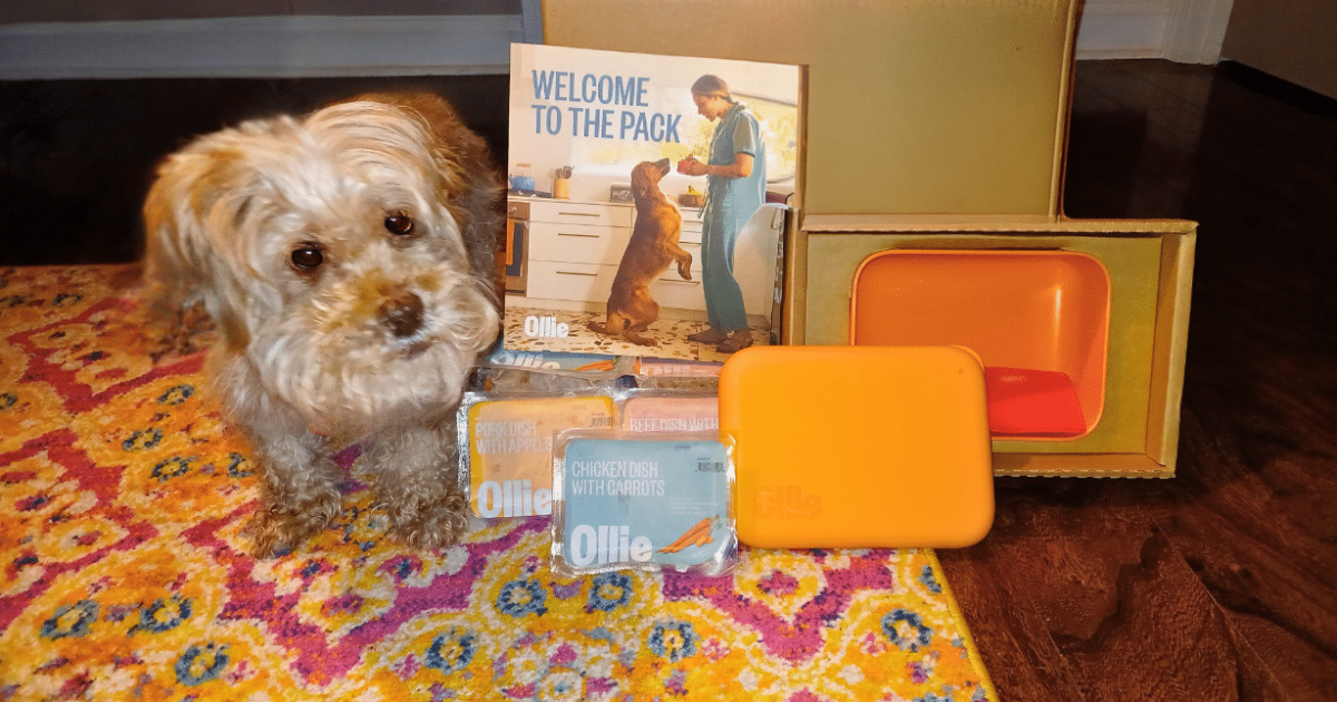 Ollie Fresh Dog Food Review: One Senior Dog's Experience