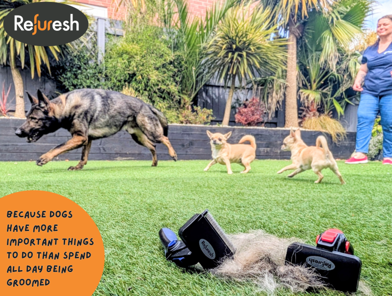 Refuresh Deshedding Tool: Professional Grooming Results at Home