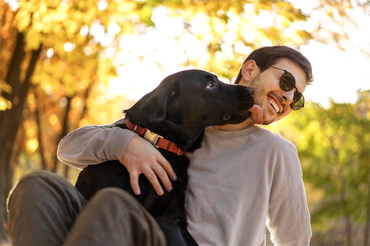 Snuggly Dog Breeds That Love Being Close to Their People
