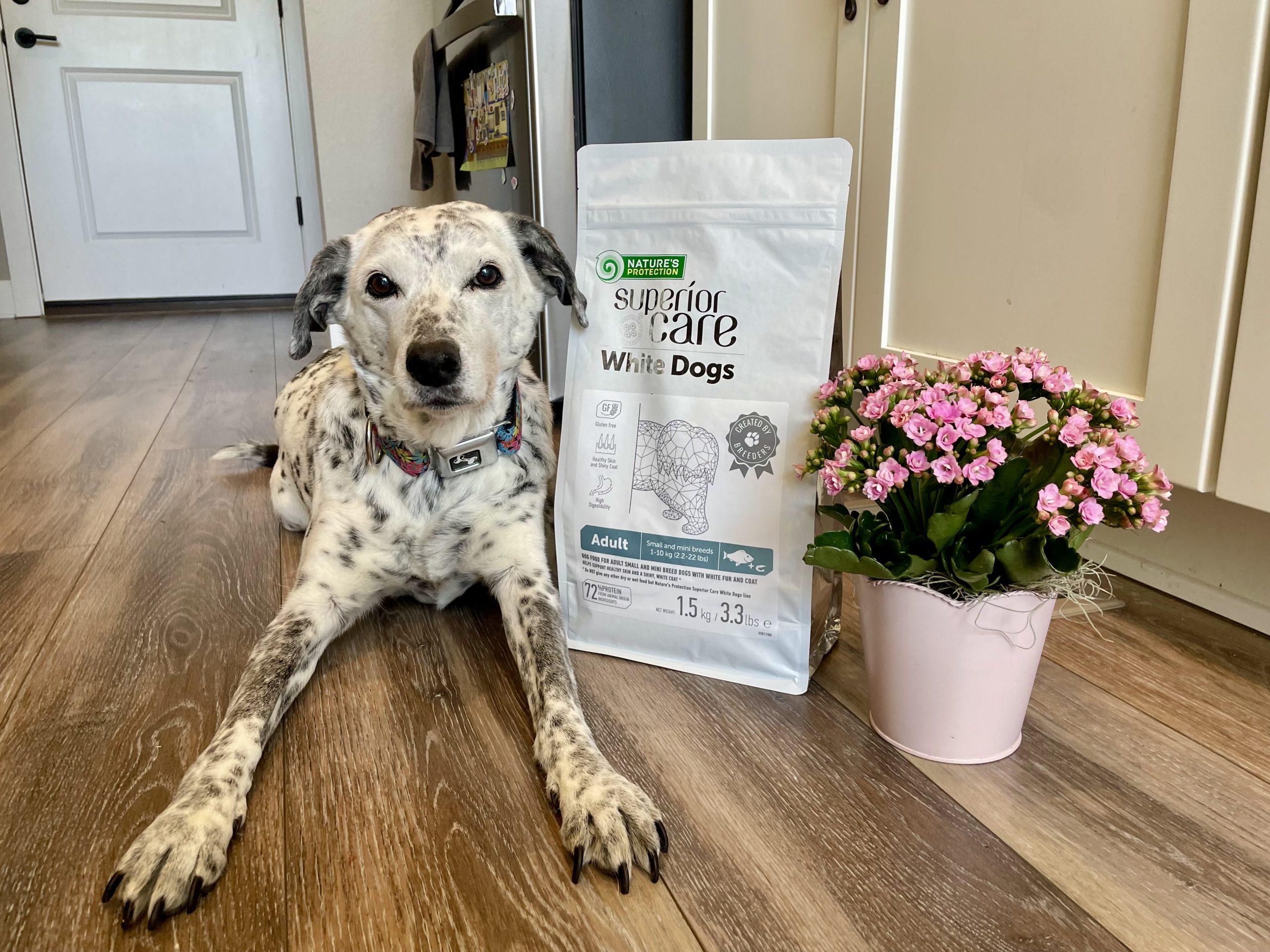 Superior Care White Dogs Grain-Free Small Breed Dog Food Review