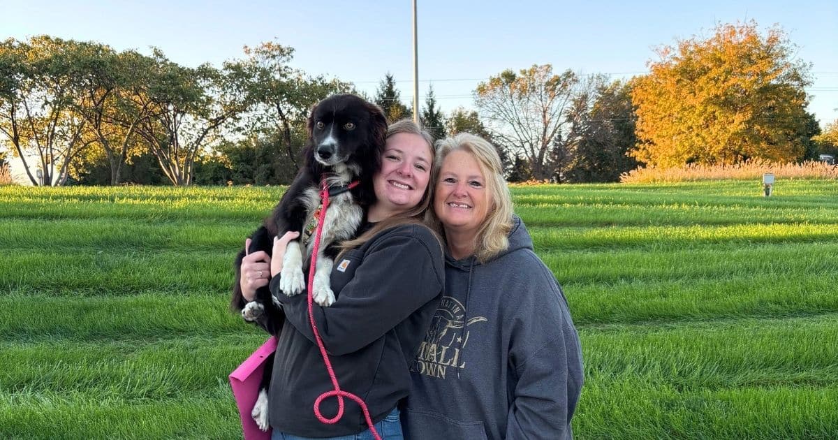 Texas Stray Rover Travels Hundreds of Miles to His Iowa Family