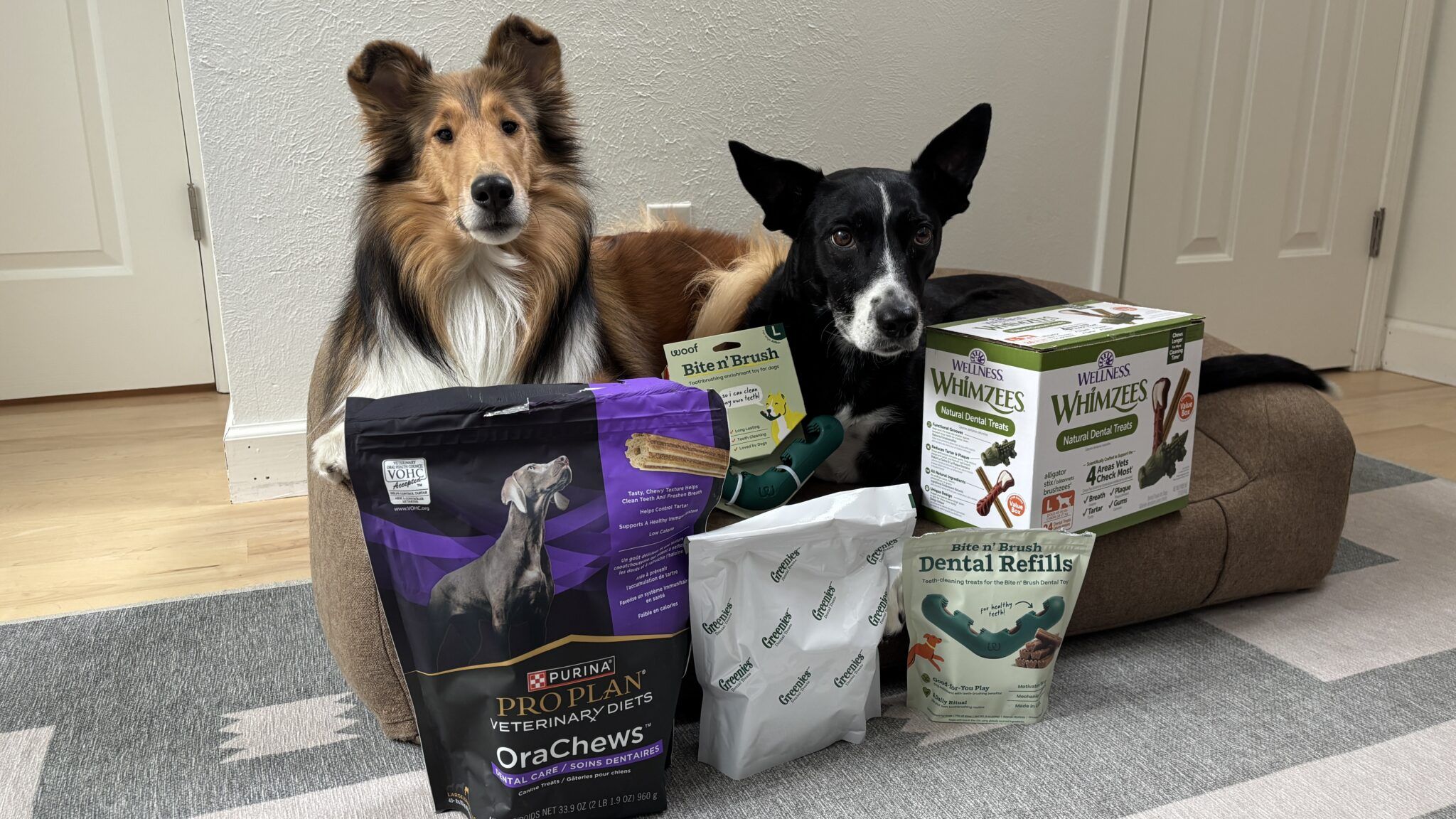The Best Dog Dental Chews for Oral Health