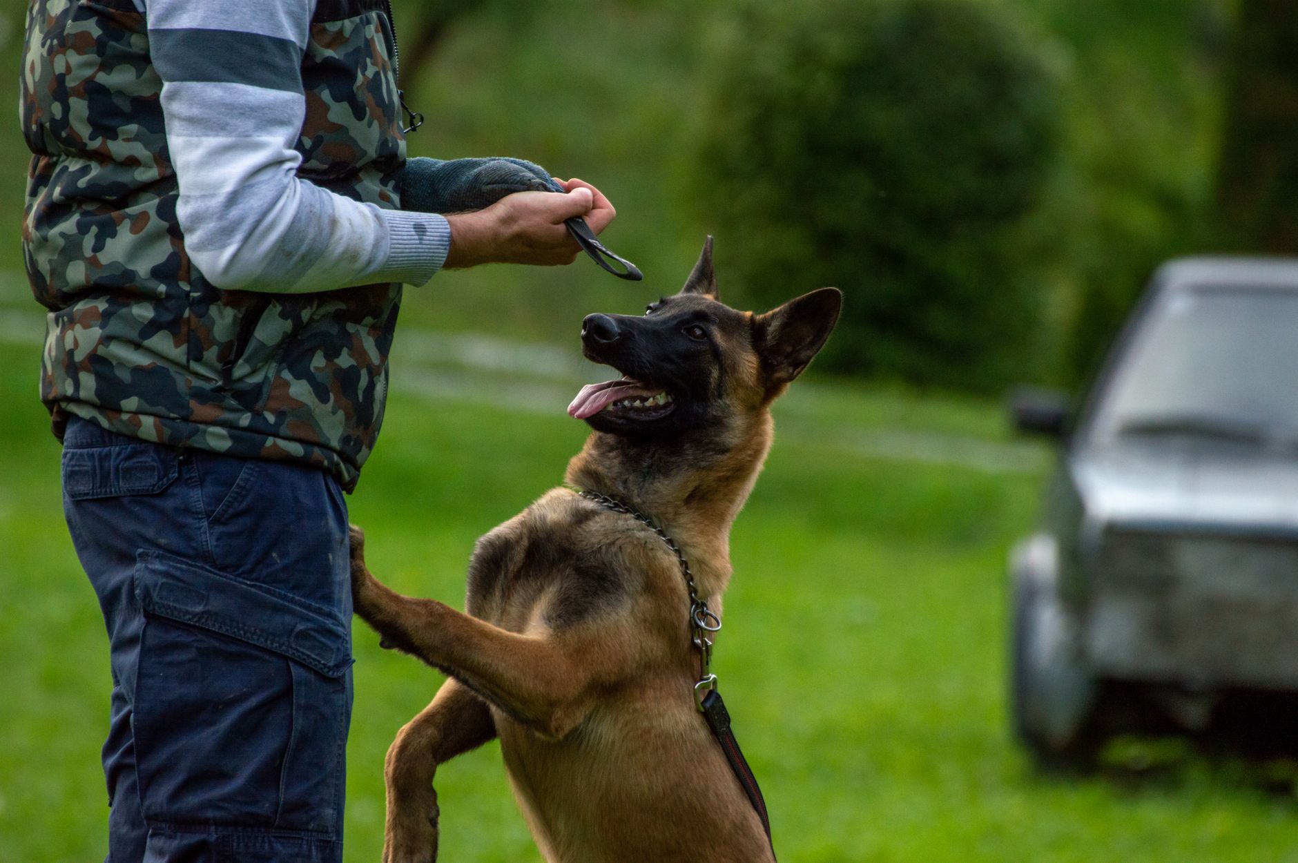 Whitebridge Pet Brands Scholarship Covers ABC Dog Trainer Tuition