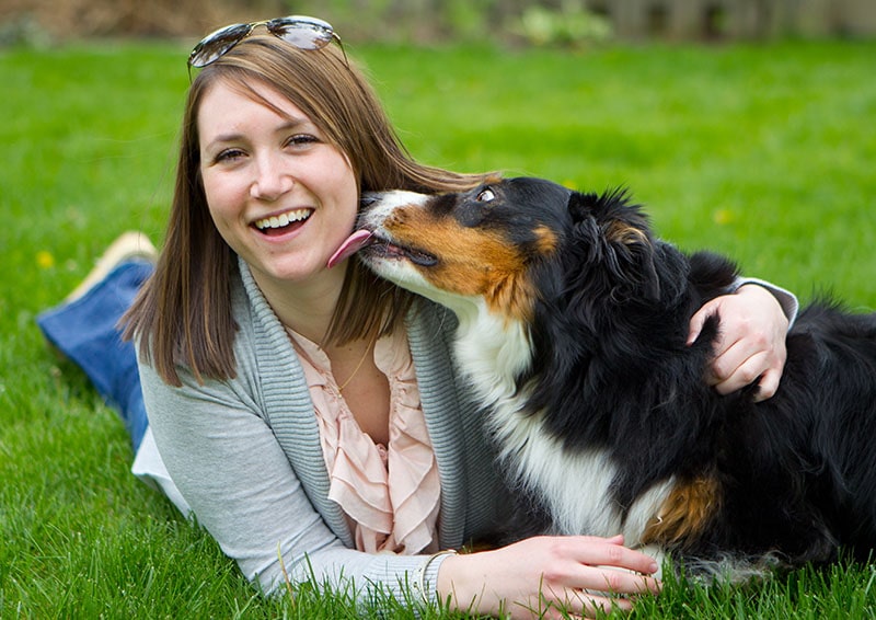 Why Dogs Lick Faces: The Reasons Behind the Behavior